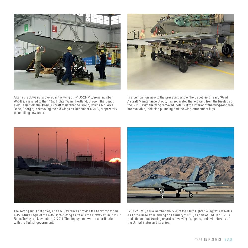 book　F-2 F-15 814mhKeghqL._UF1000,1000_QL80_.jpg